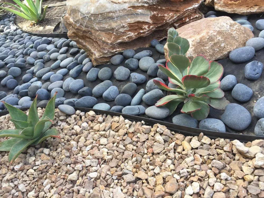 Professional lawn care service experts serving El Cajon, CA - Classic Landscape & Horticulture