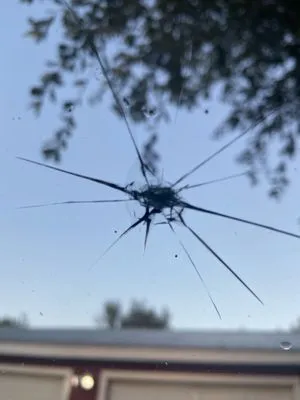 CLASSIC LANDSCAPE & MAINTENANCE Logo