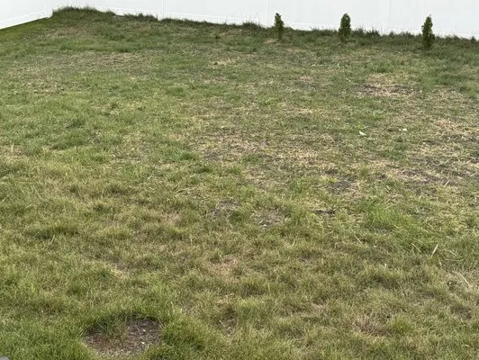 Classic Landscape Logo