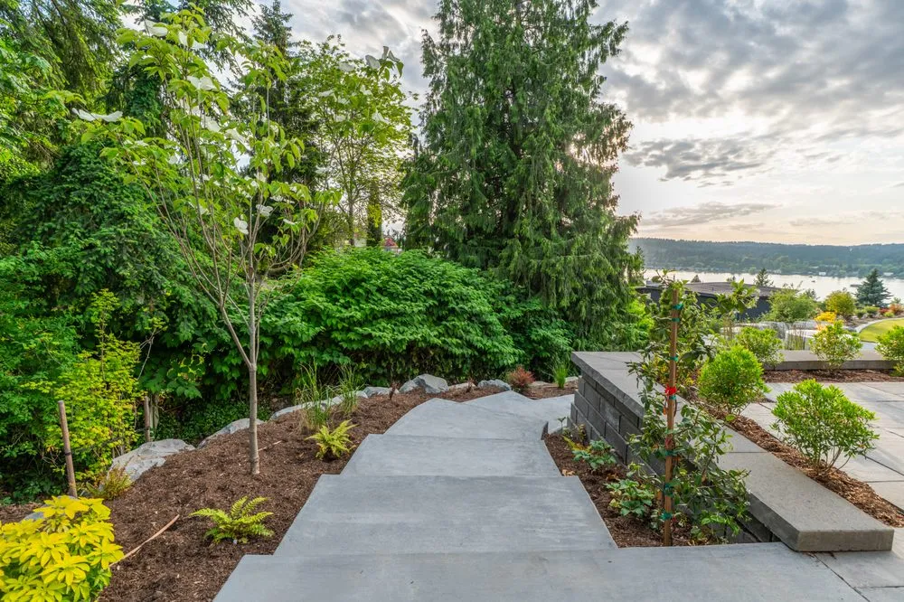 Affordable residential landscaping in Kirkland, WA - Classic Landscaping + Nursery