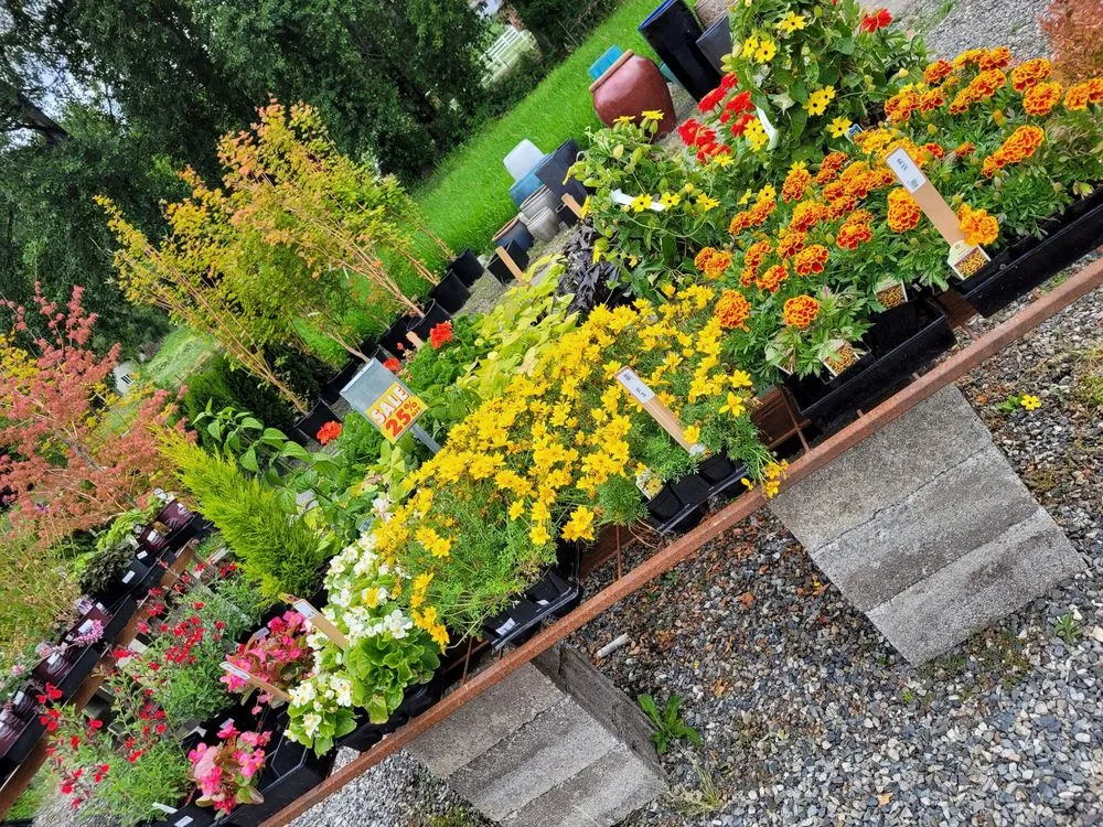 Top-rated outdoor landscaping experts serving Woodinville, WA - Classic Landscaping + Nursery