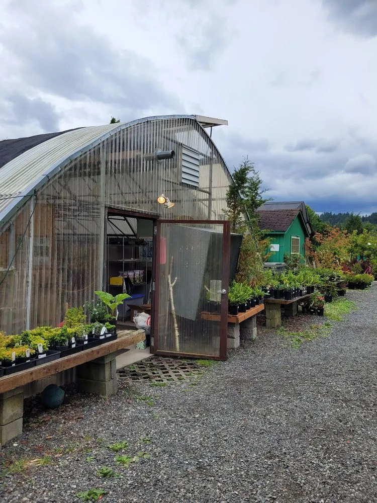 Local landscaping services with custom design in Woodinville, WA by Classic Landscaping + Nursery