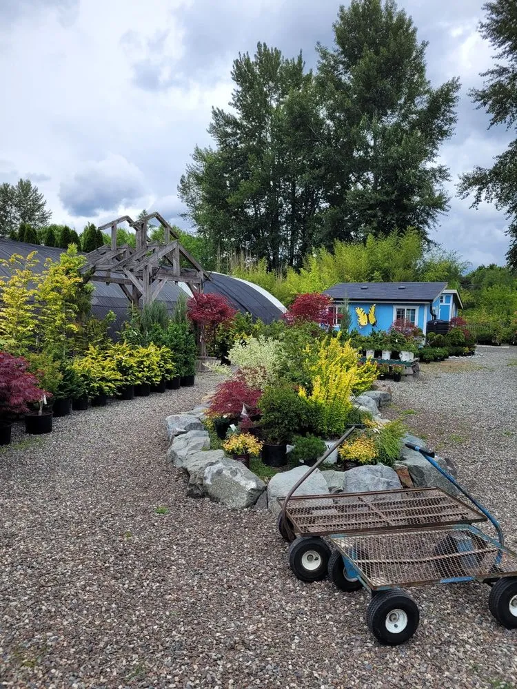 Top-rated residential landscaping with custom design across Woodinville, WA - Classic Landscaping + Nursery