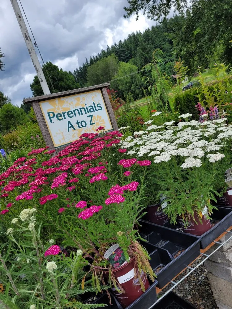 Professional garden landscaping in Woodinville, WA - Classic Landscaping + Nursery