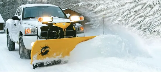 Local yard cleanup service in Carnegie, PA - Classic Landscaping & Tree Service Inc.