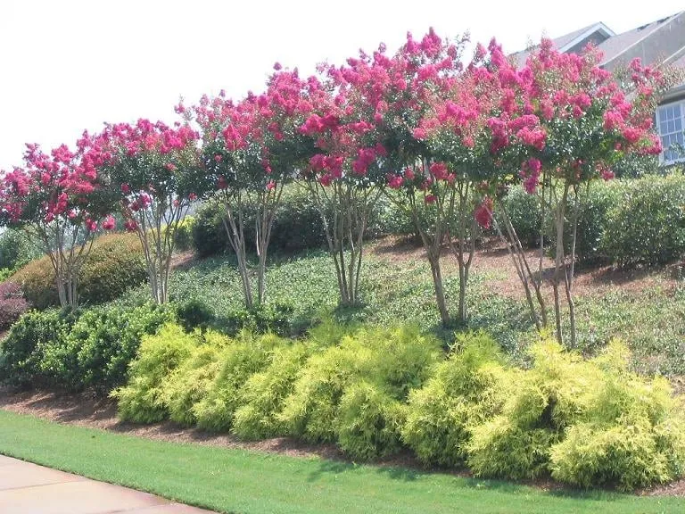 Local garden landscaping for outdoor upgrades in Middle River, MD by Classic Lawn & Landscape