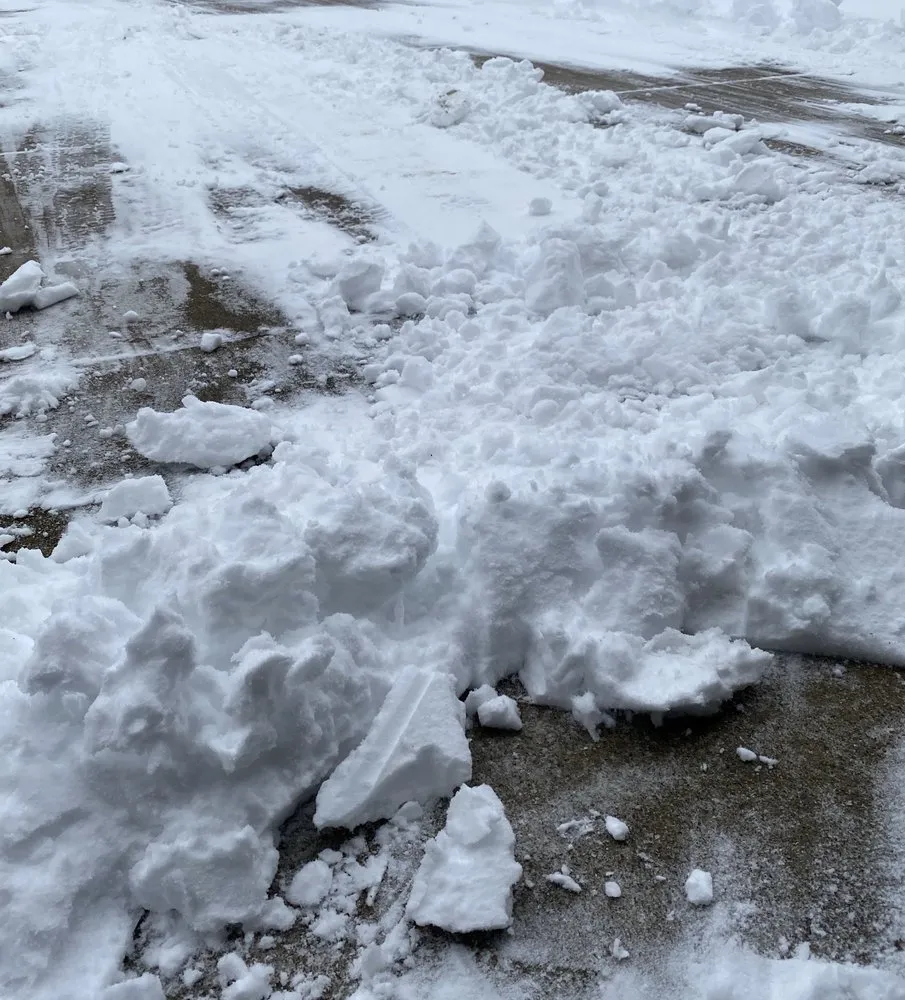 Affordable lawn care service with custom design in Troy, MI by Classic Lawn & Landscape Service