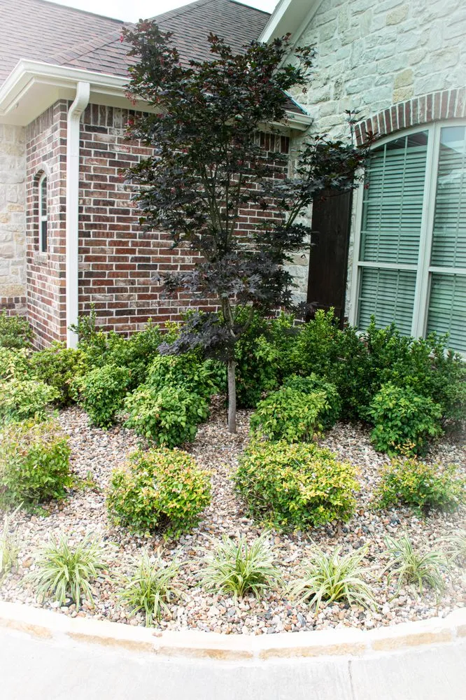 Reliable yard maintenance for homes across Sulphur Springs, TX - Classic Lawn & Landscape