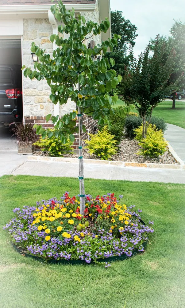 Reliable landscape installation for year-round maintenance across Sulphur Springs, TX - Classic Lawn & Landscape