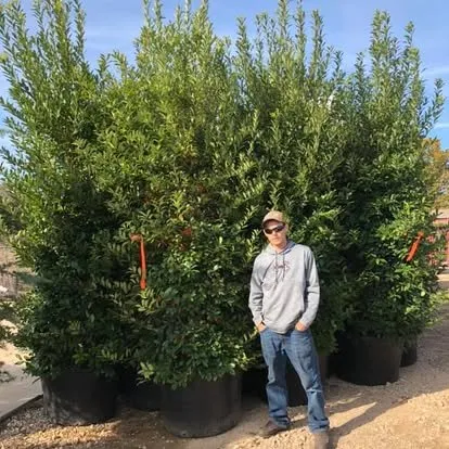 Reliable landscape installation experts serving Sulphur Springs, TX - Classic Lawn & Landscape