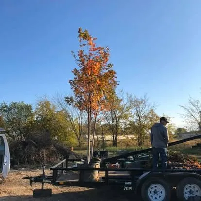 Affordable landscaping services for beautiful yards in Sulphur Springs, TX by Classic Lawn & Landscape