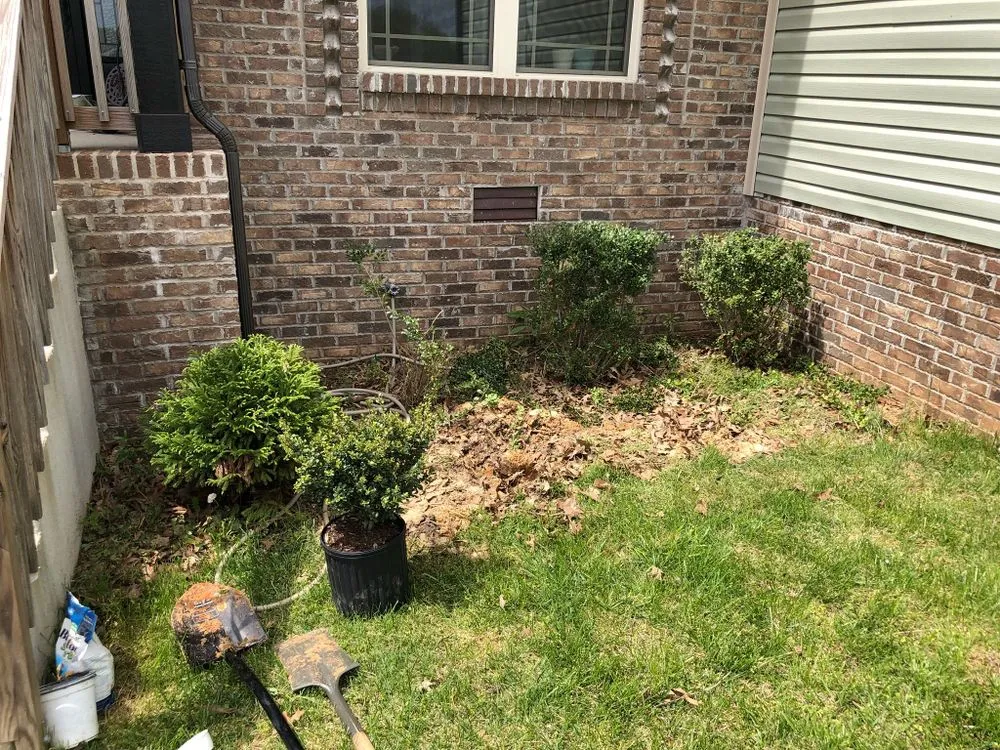 Reliable lawn care service experts serving Clarksville, TN - Classic Lawn Care And Services