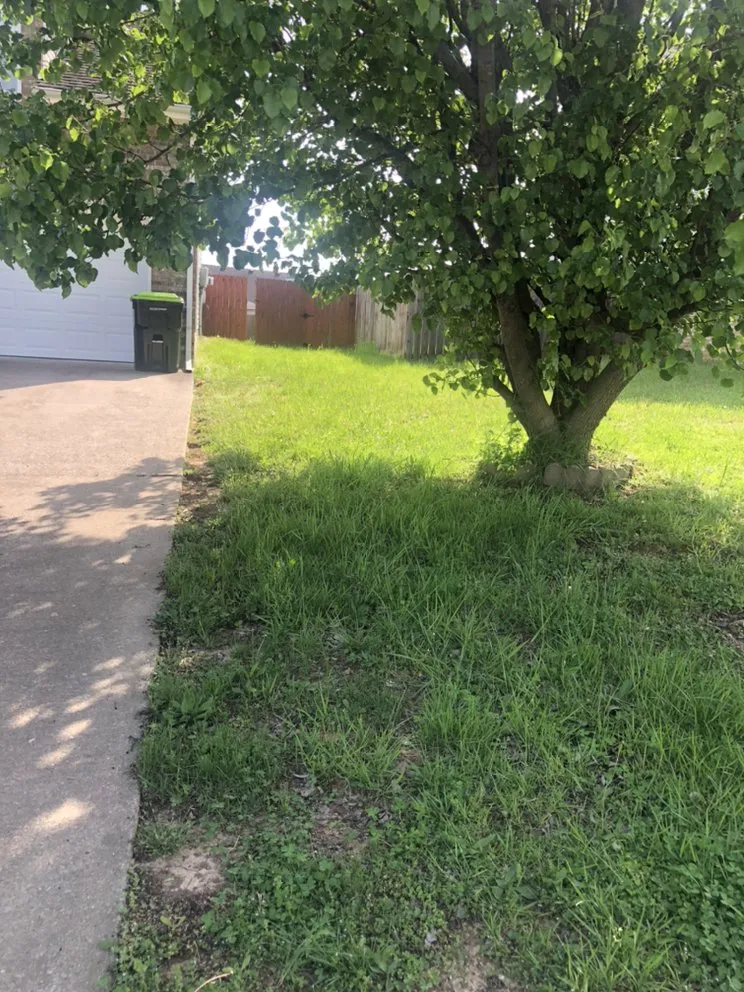 Expert lawn care service in Clarksville, TN - Classic Lawn Care And Services