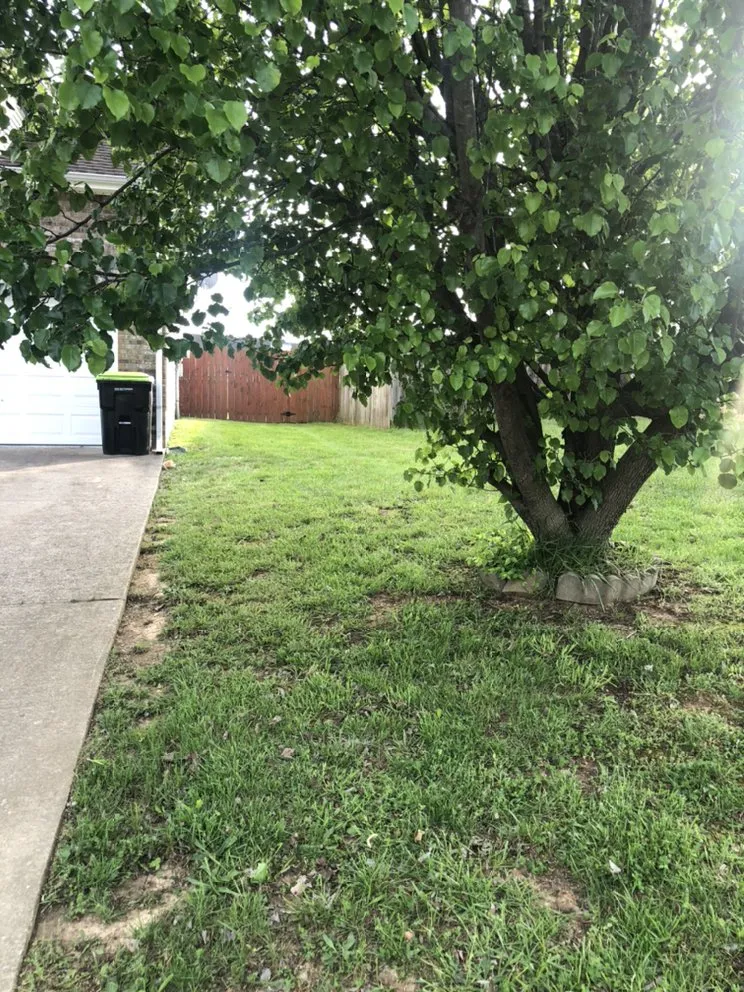 Local lawn mowing service experts serving Clarksville, TN - Classic Lawn Care And Services