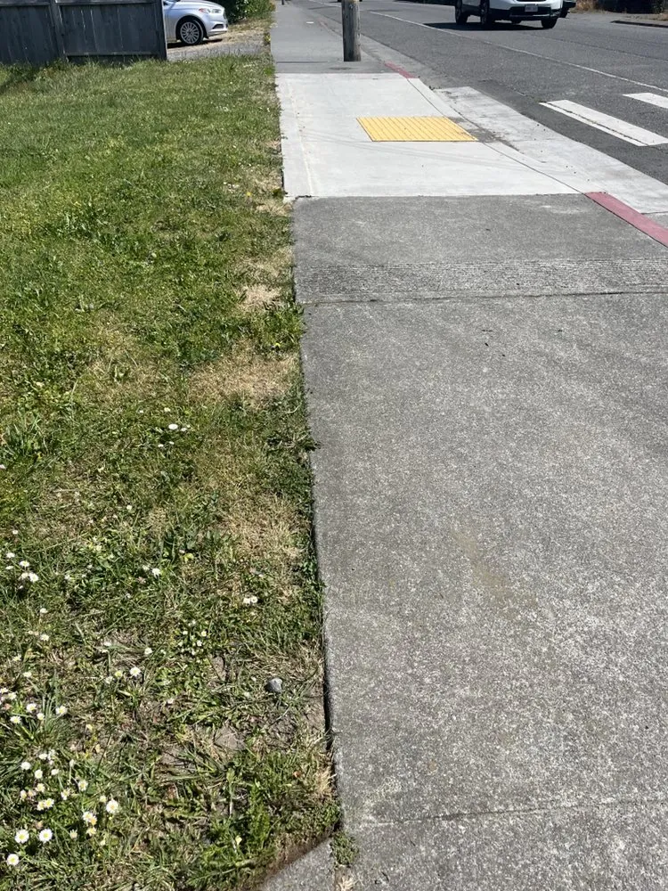 Local landscape design in Arcata, CA - Classic Lawn Care