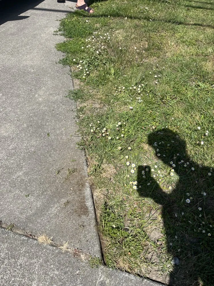 Professional landscape installation for residential properties in Arcata, CA by Classic Lawn Care