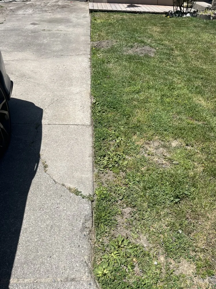 Professional lawn care service for year-round maintenance across Arcata, CA - Classic Lawn Care