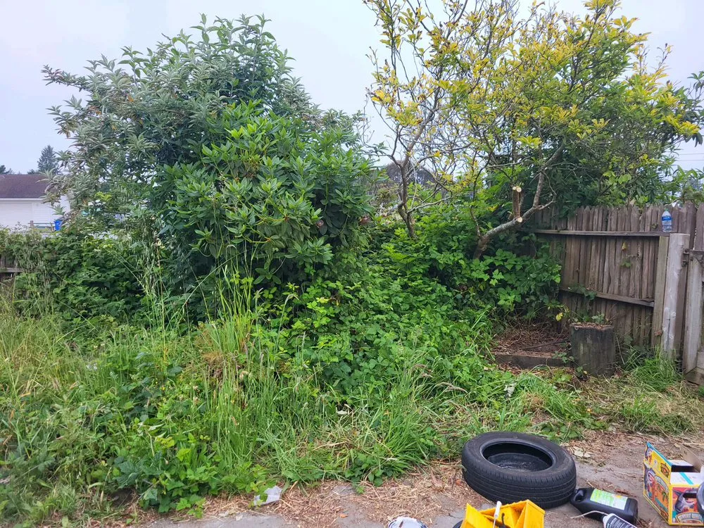 Professional lawn care service for homes in Arcata, CA by Classic Lawn Care