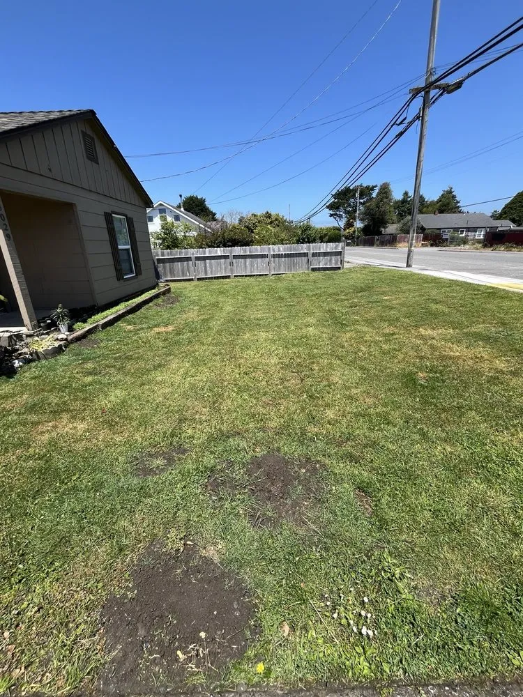 Expert lawn care service experts serving Arcata, CA - Classic Lawn Care