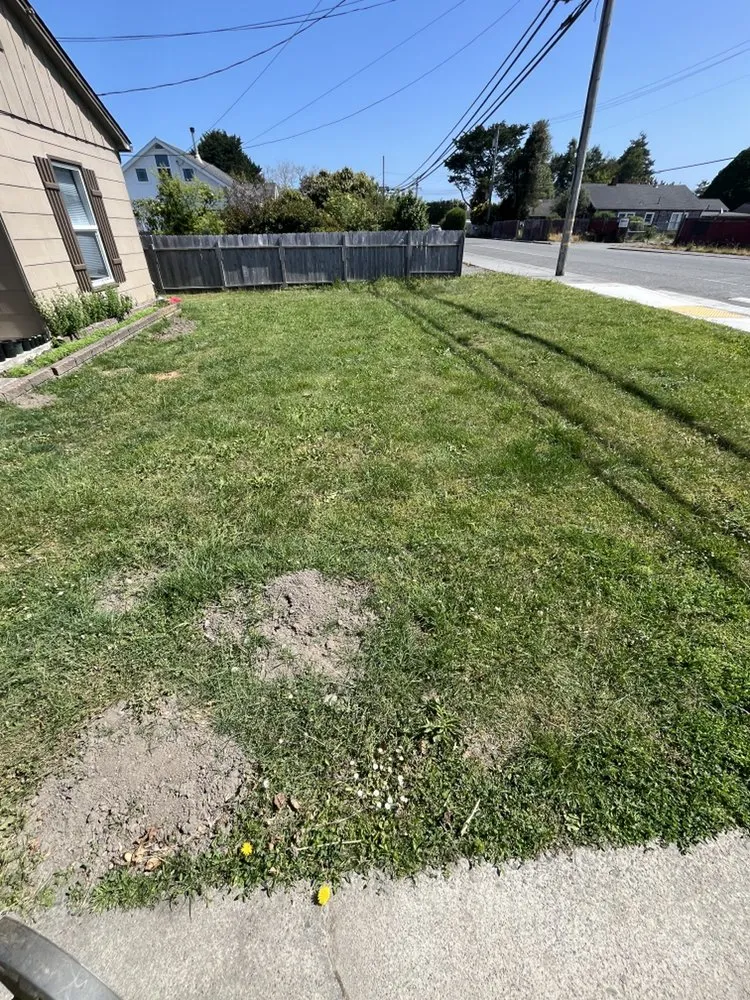 Affordable yard cleanup service in Arcata, CA - Classic Lawn Care