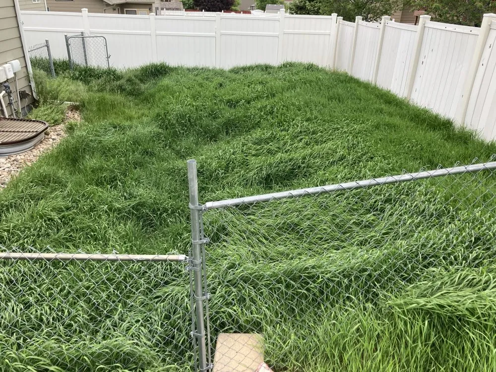 Trusted landscaping services in Box Elder, SD by Classic lawn care