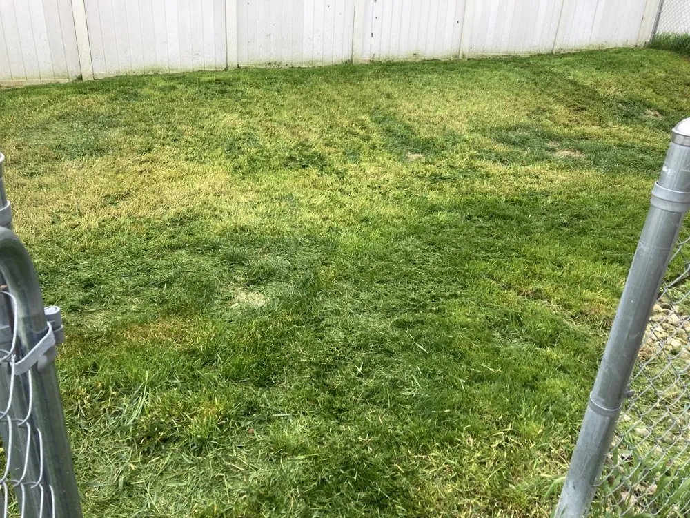 Trusted garden landscaping experts serving Box Elder, SD - Classic lawn care