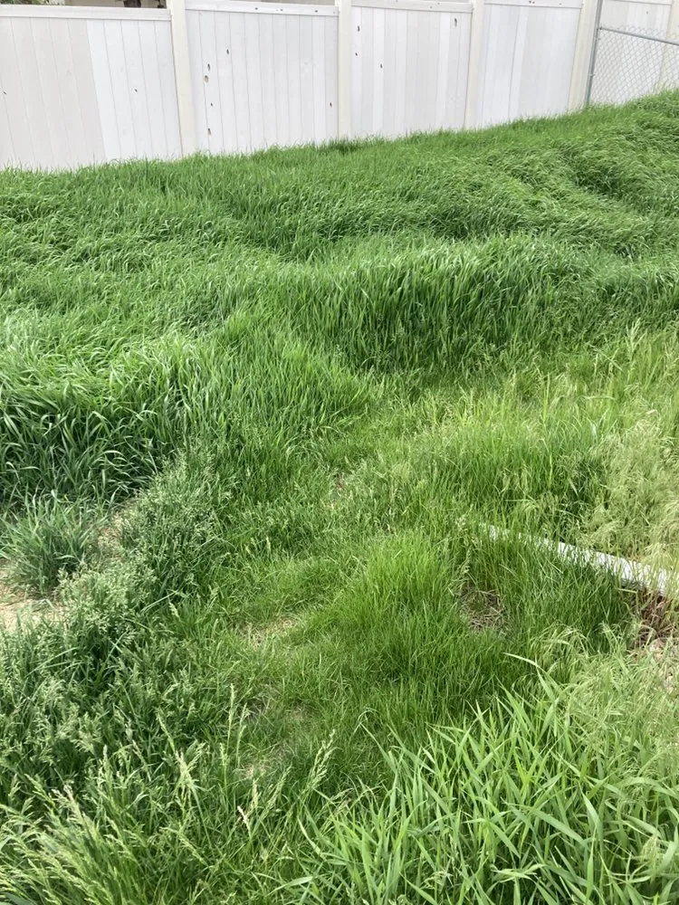 Affordable lawn care service in Box Elder, SD - Classic lawn care