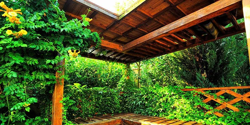 Local landscaping services for outdoor upgrades in West Fork, AR by Classic Lawn Care