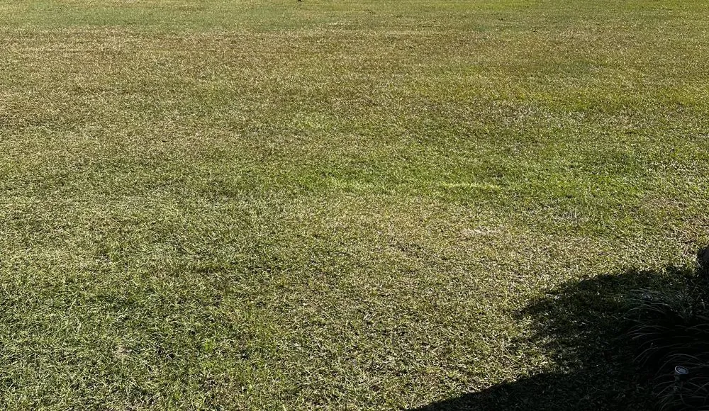 Trusted yard maintenance for residential properties in Clinton, NC by Classic Lawn Cutz