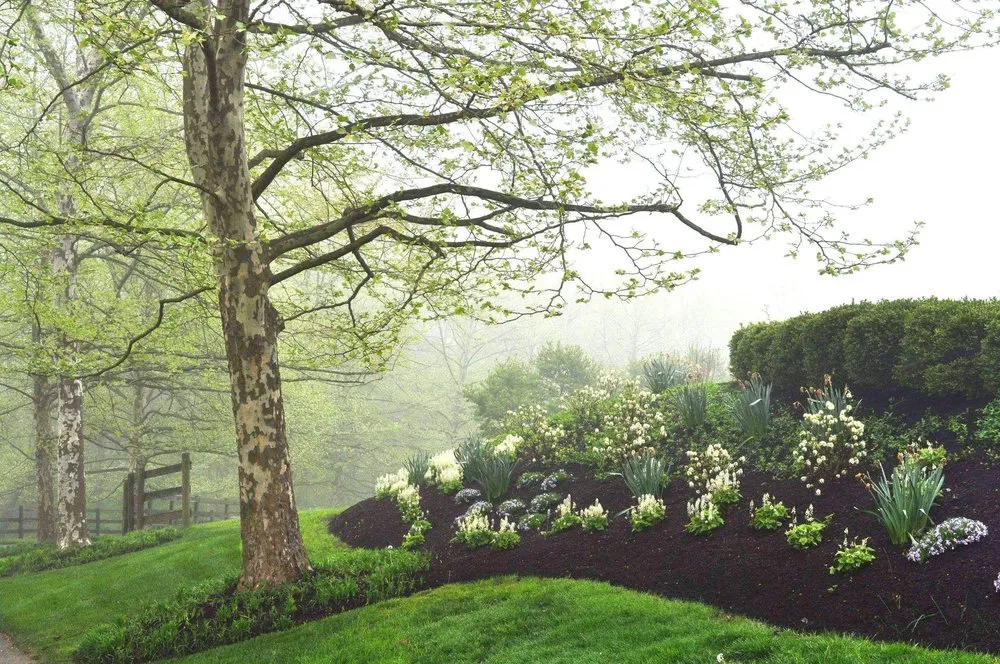 Expert yard maintenance experts serving Kennett Square, PA - Classic Lawns & Gardens