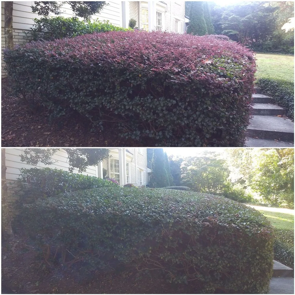 Custom landscape installation near you across Riverdale, GA - Classic Lawns Landscape