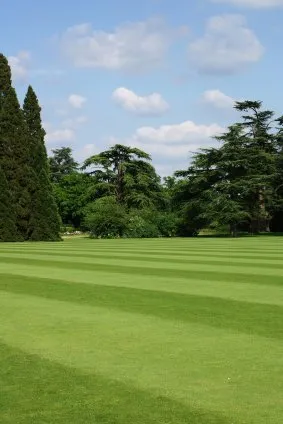 Top-rated garden landscaping in Blaine, MN - Classic Lawnscape