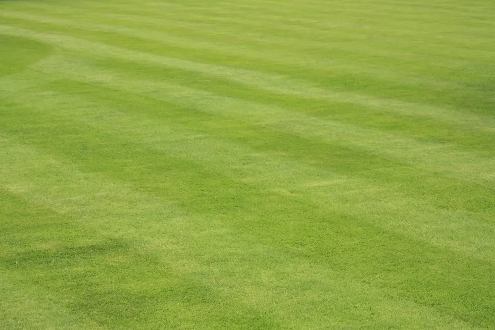 Reliable outdoor landscaping for homes across Blaine, MN - Classic Lawnscape