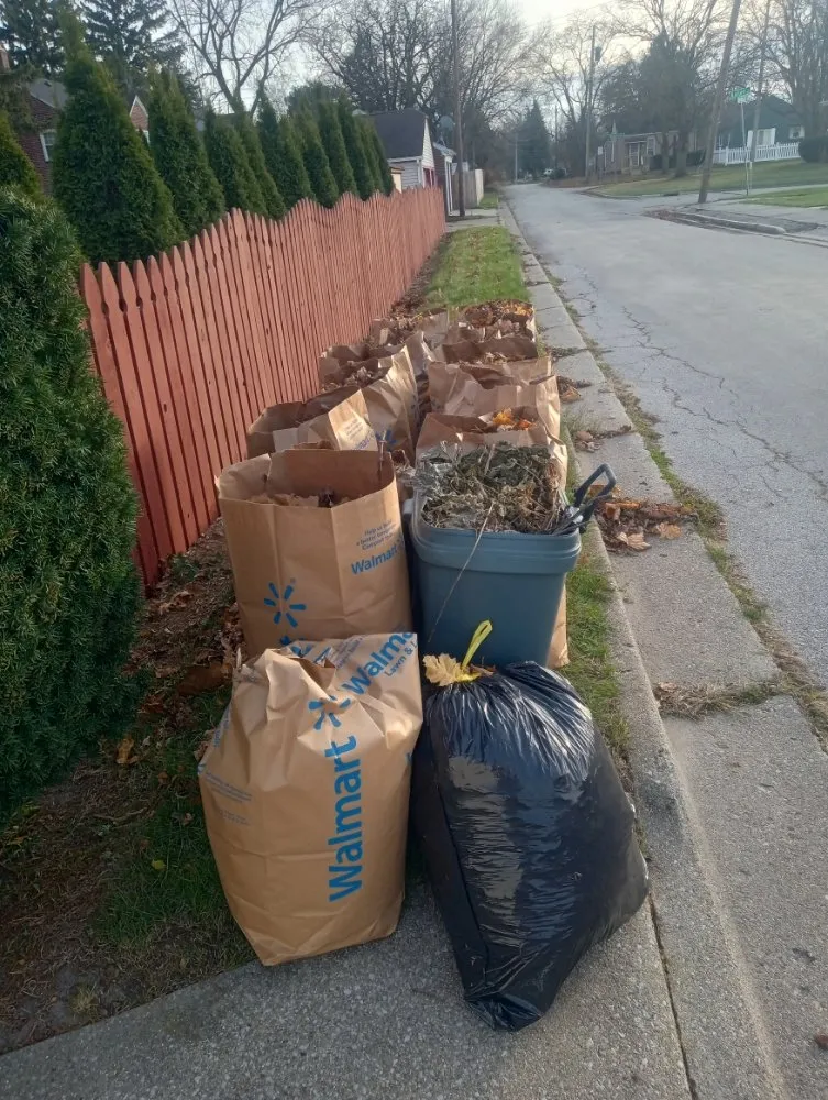 Professional yard maintenance in Saginaw, MI by Classic Painting