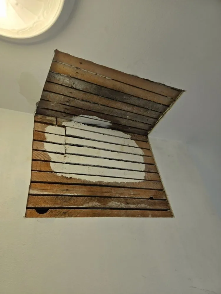 Reliable lawn care service experts serving Saginaw, MI - Classic Painting