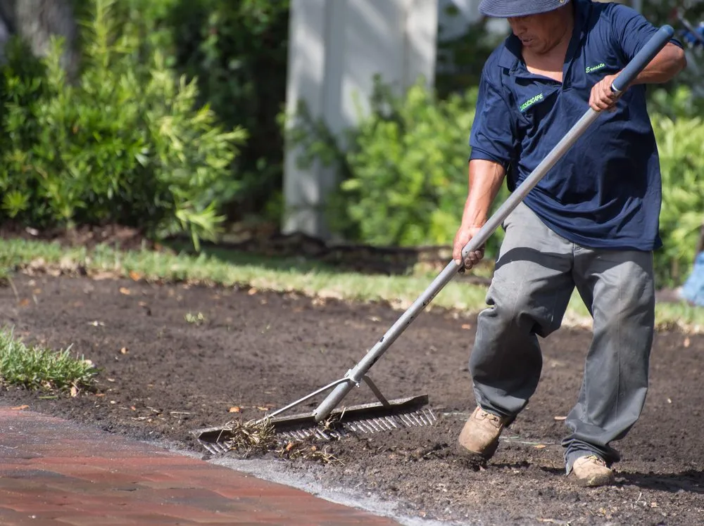 Professional yard cleanup service for homes in Winter Garden, FL by Classic Scape