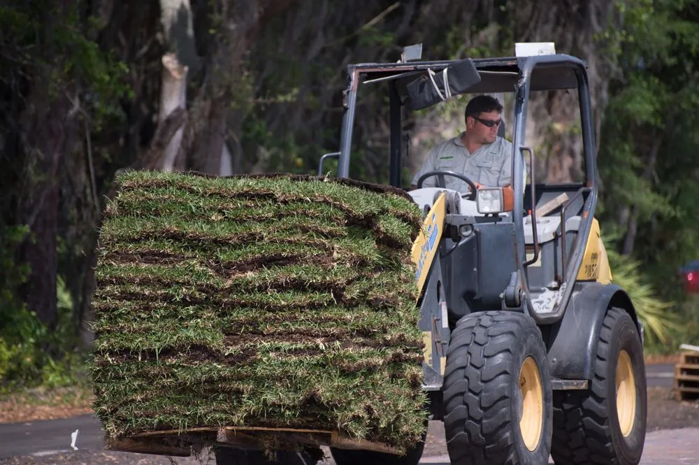 Reliable landscaping services with custom design in Winter Garden, FL by Classic Scape