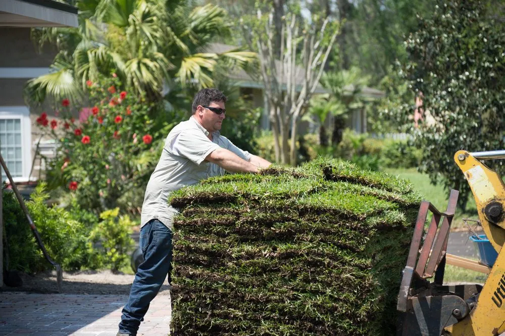 Custom landscaping services in Winter Garden, FL - Classic Scape