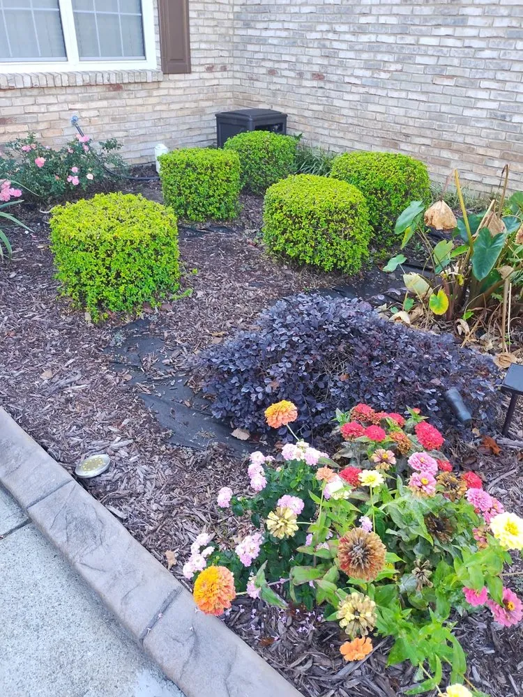 Expert yard cleanup service for year-round maintenance in Atlanta, GA by Classic Solution Landscape