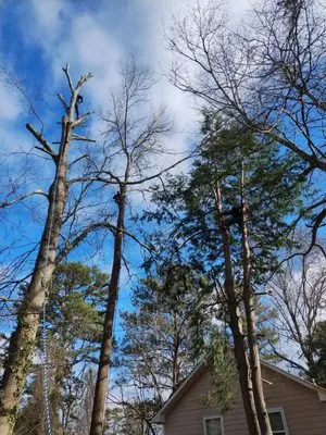 Classic Solution Landscape Logo