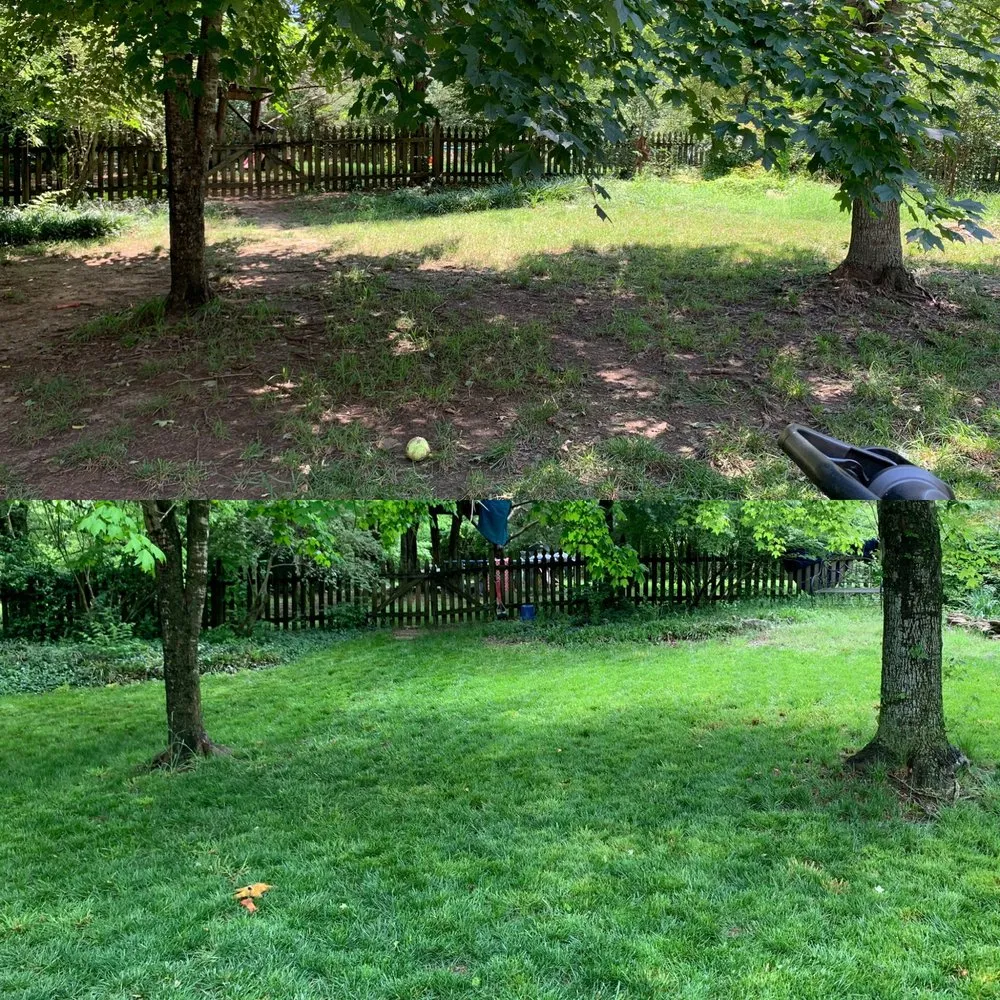 Affordable residential landscaping for residential properties across Mount Juliet, TN - Classic Southern Landscaping