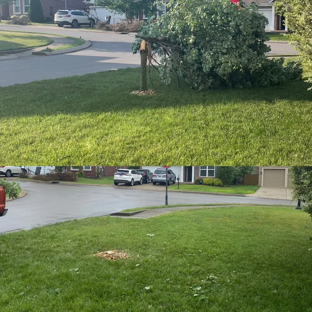 Reliable landscape design experts serving Mount Juliet, TN - Classic Southern Landscaping