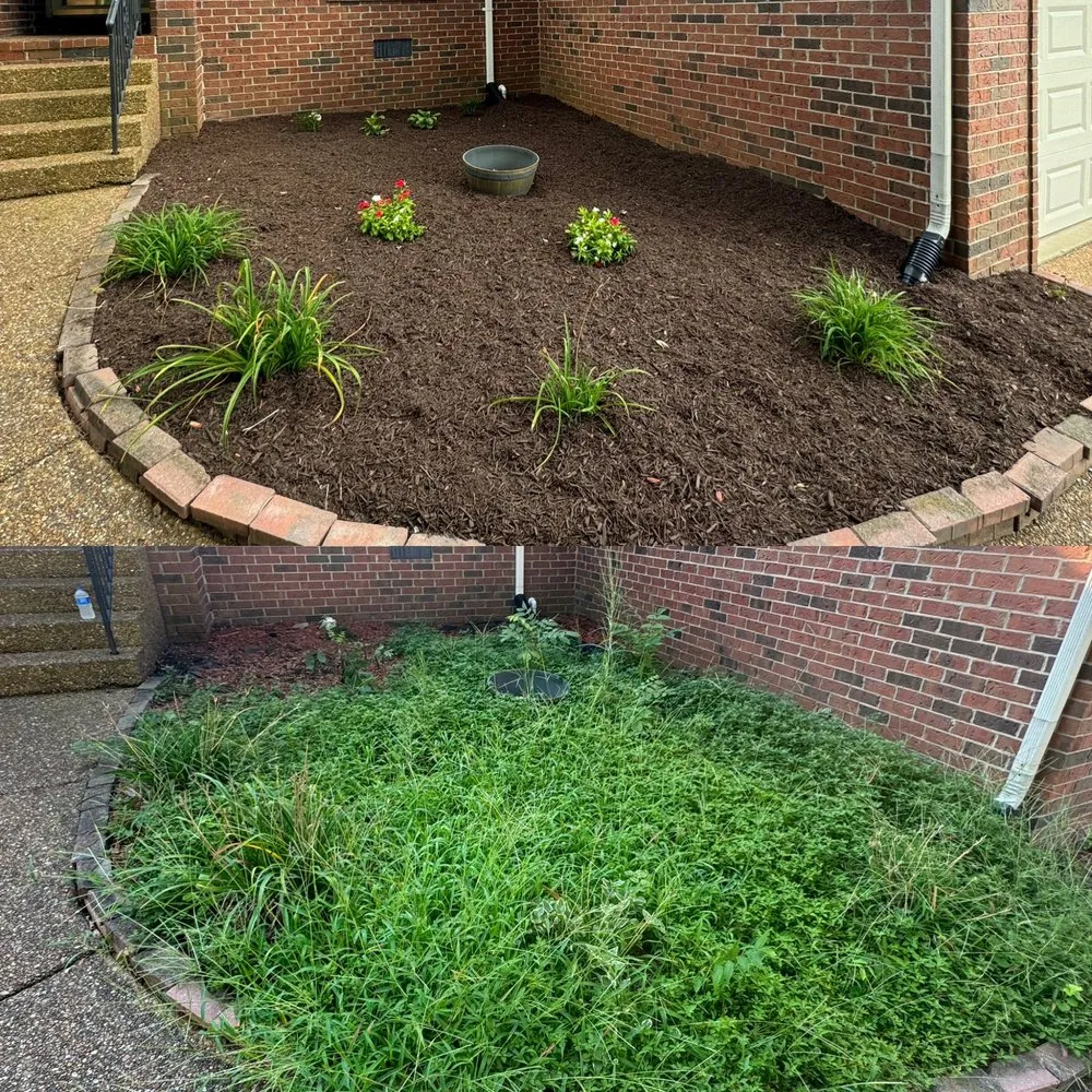 Local residential landscaping experts serving Mount Juliet, TN - Classic Southern Landscaping