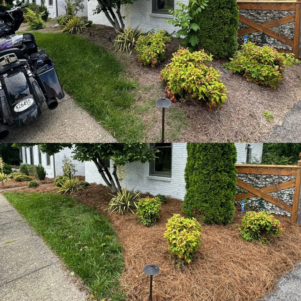 Reliable landscape design in Mount Juliet, TN by Classic Southern Landscaping