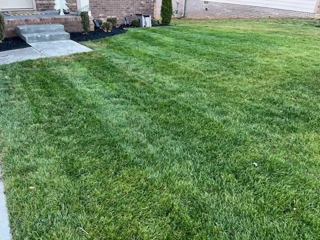 Expert garden landscaping with custom design in Clarksville, TN by Classic Southern Lawns