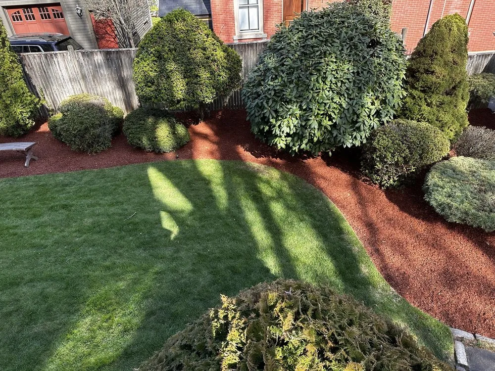 Professional lawn care service near you in Cranston, RI by Classic Tree And Landscaping