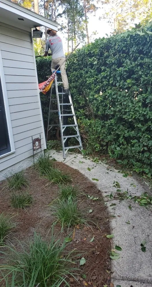 Trusted residential landscaping in Jacksonville, FL - Classiccuts lawn and landscaping