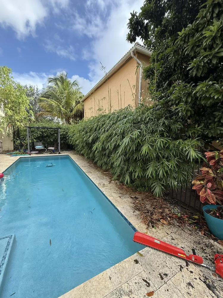 Professional landscape installation in Lake Worth Beach, FL by Classy Cuts Lawn Maintenance