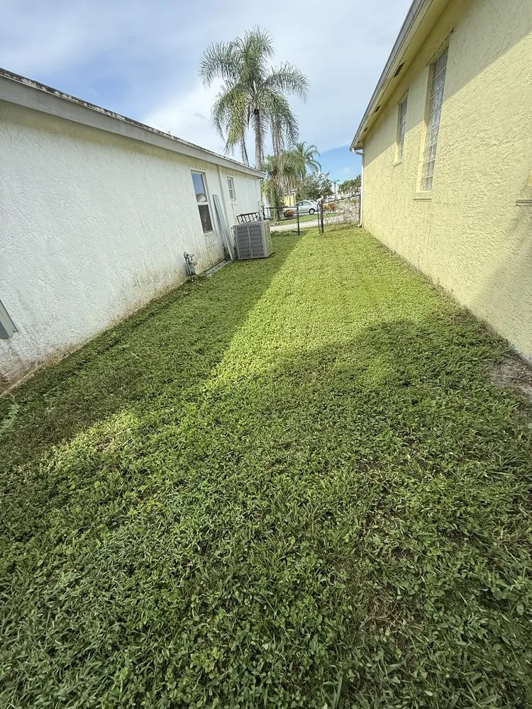Reliable lawn mowing service for outdoor upgrades in Lake Worth Beach, FL by Classy Cuts Lawn Maintenance