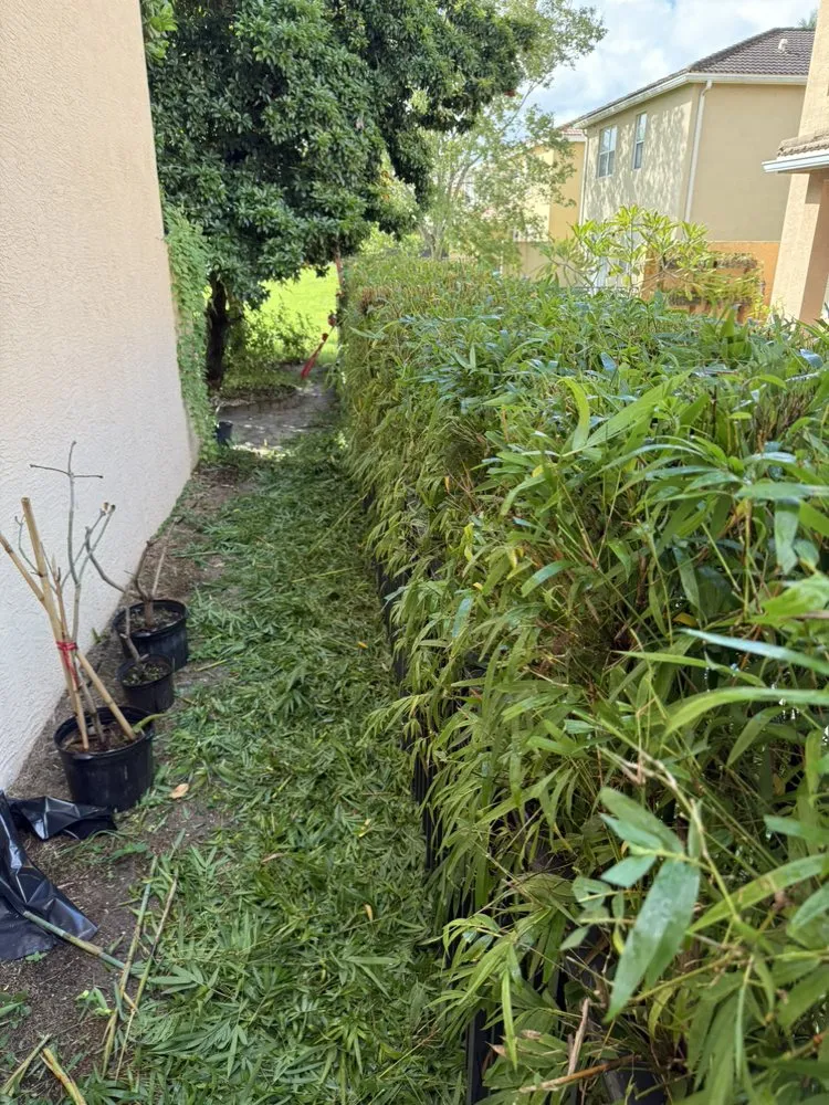 Local yard maintenance in Lake Worth Beach, FL by Classy Cuts Lawn Maintenance